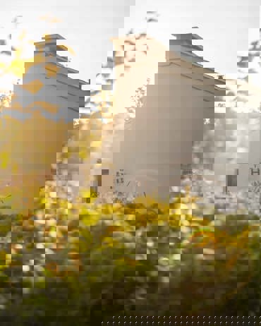 The Bothy by Wildsmith