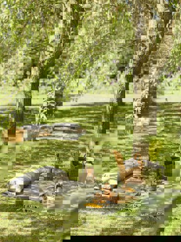 Picnics Across the Estate