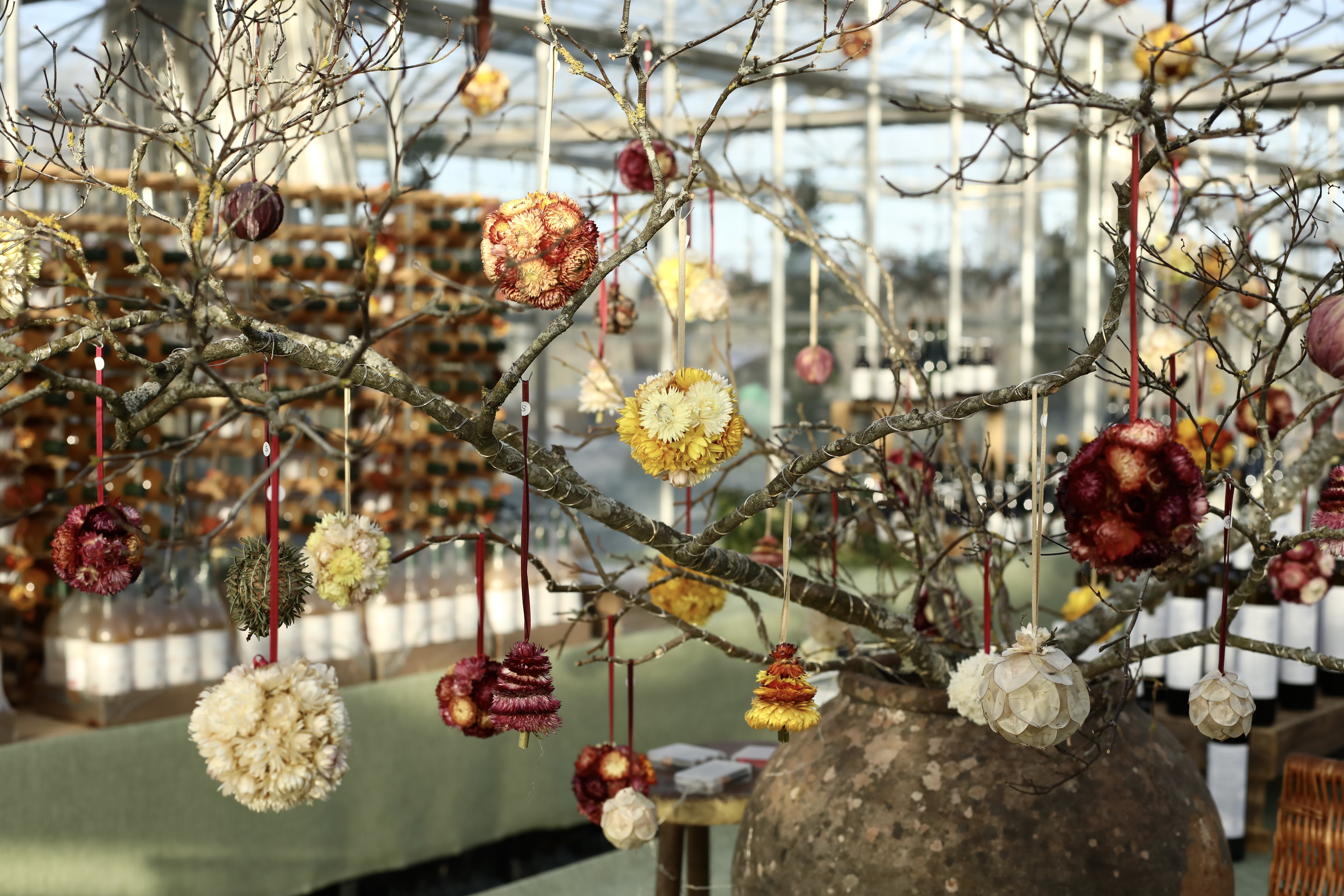 2025 11 28 Christmas Baubles Hanging From Branches In Vase Juice And Wines In Background
