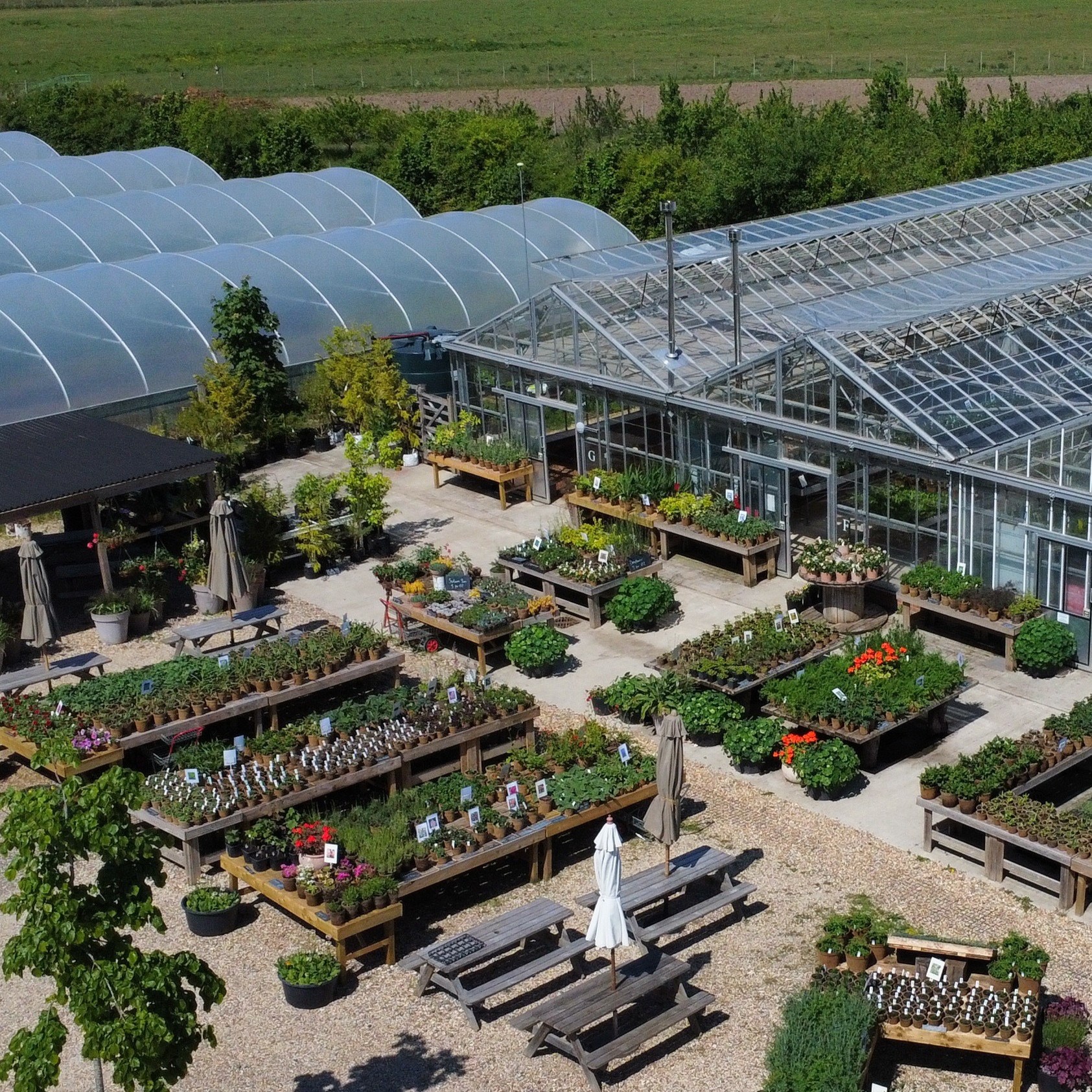 2025 05 17 Market Stalls, Polytunnels And Glasshouses From Above Square