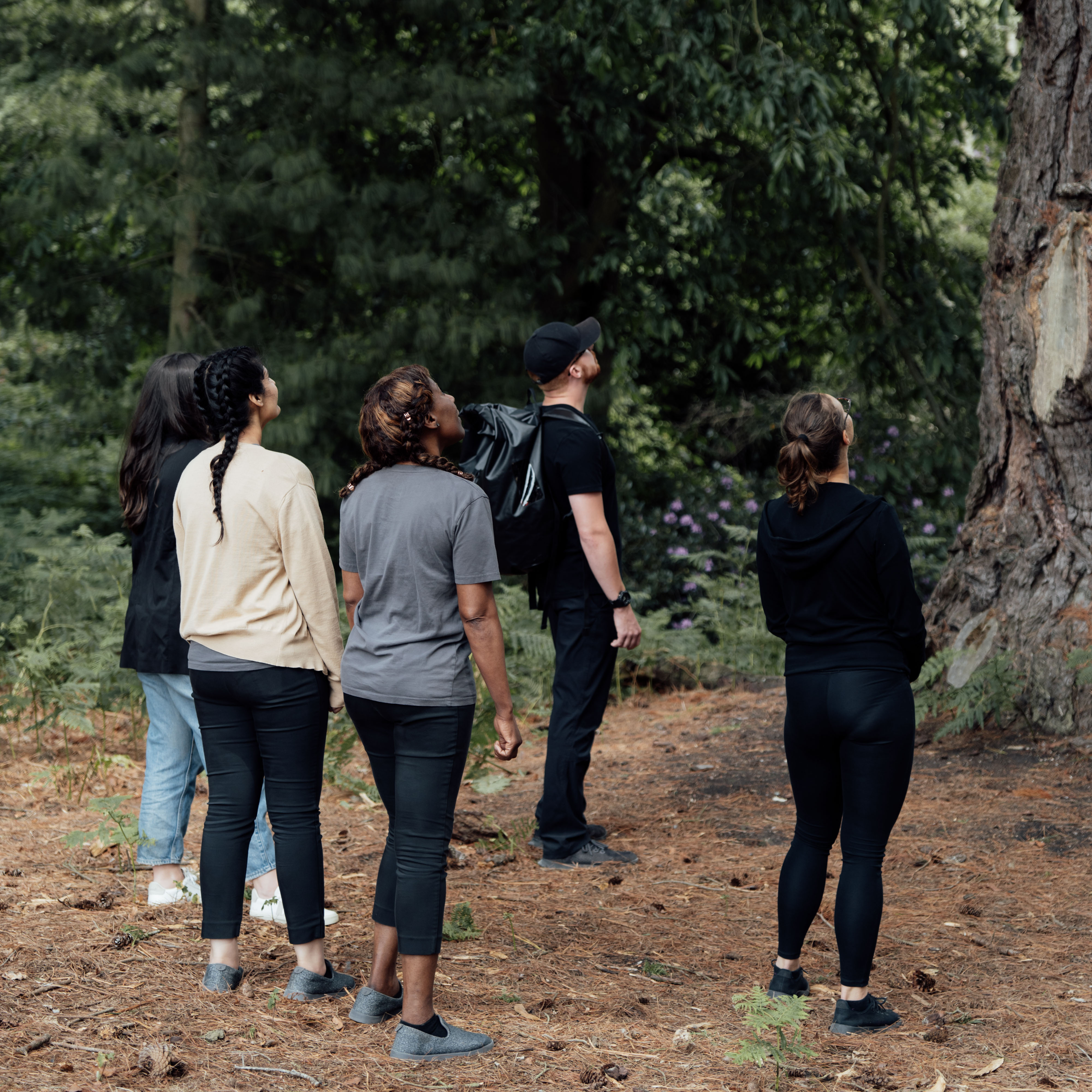 HP Forest Bathing 1 (5)