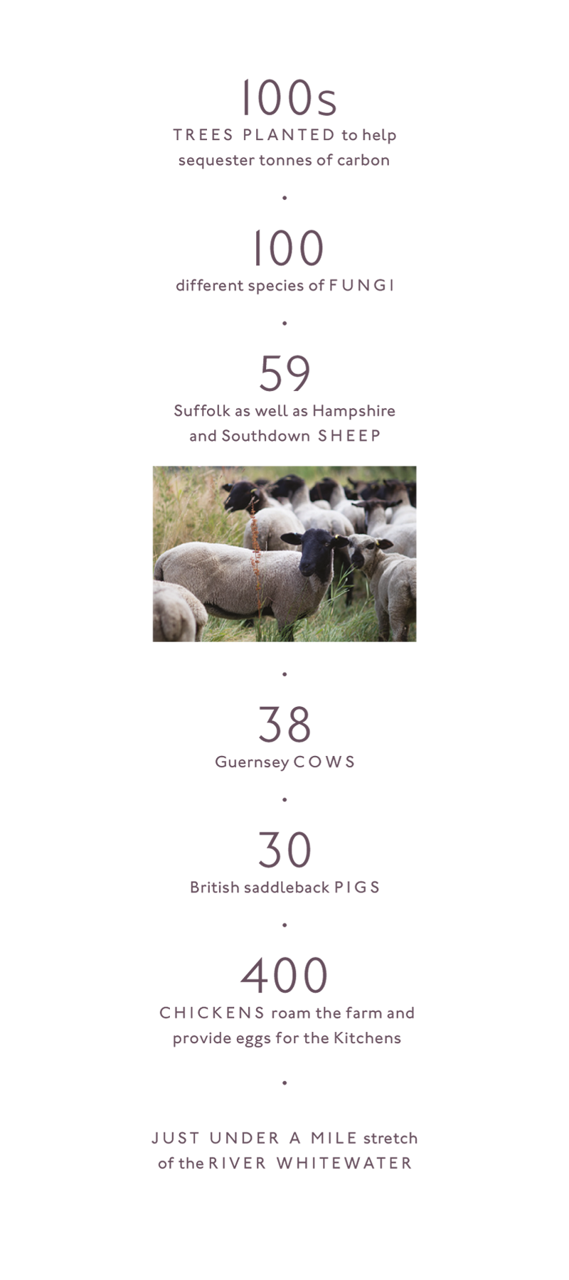 Heckfield In Numbers 1B