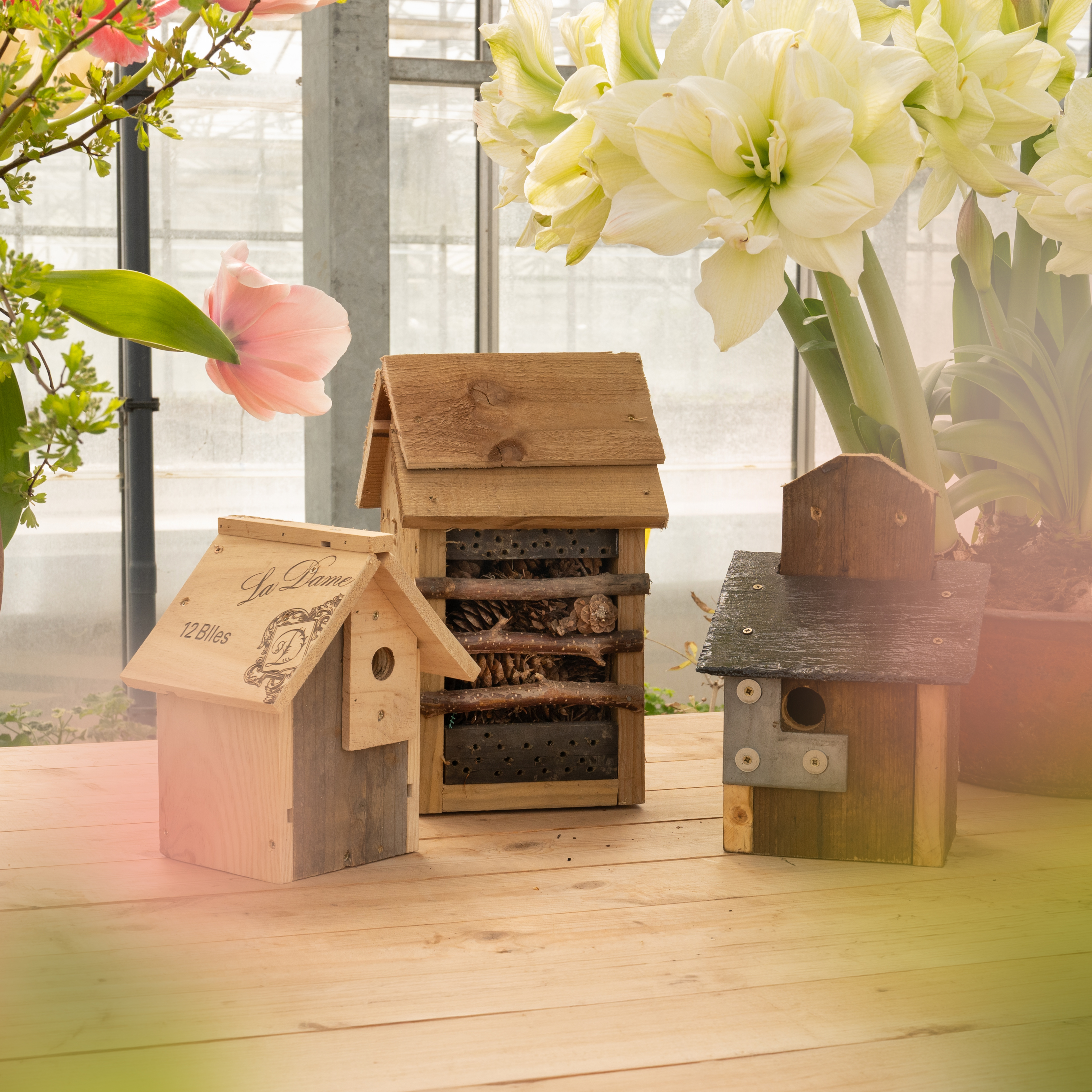 BIRDBOXES
