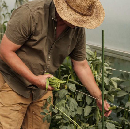 Market Garden Experienve