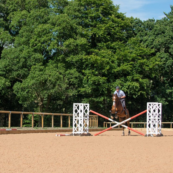 Wellington Riding Horse Jumping (2)