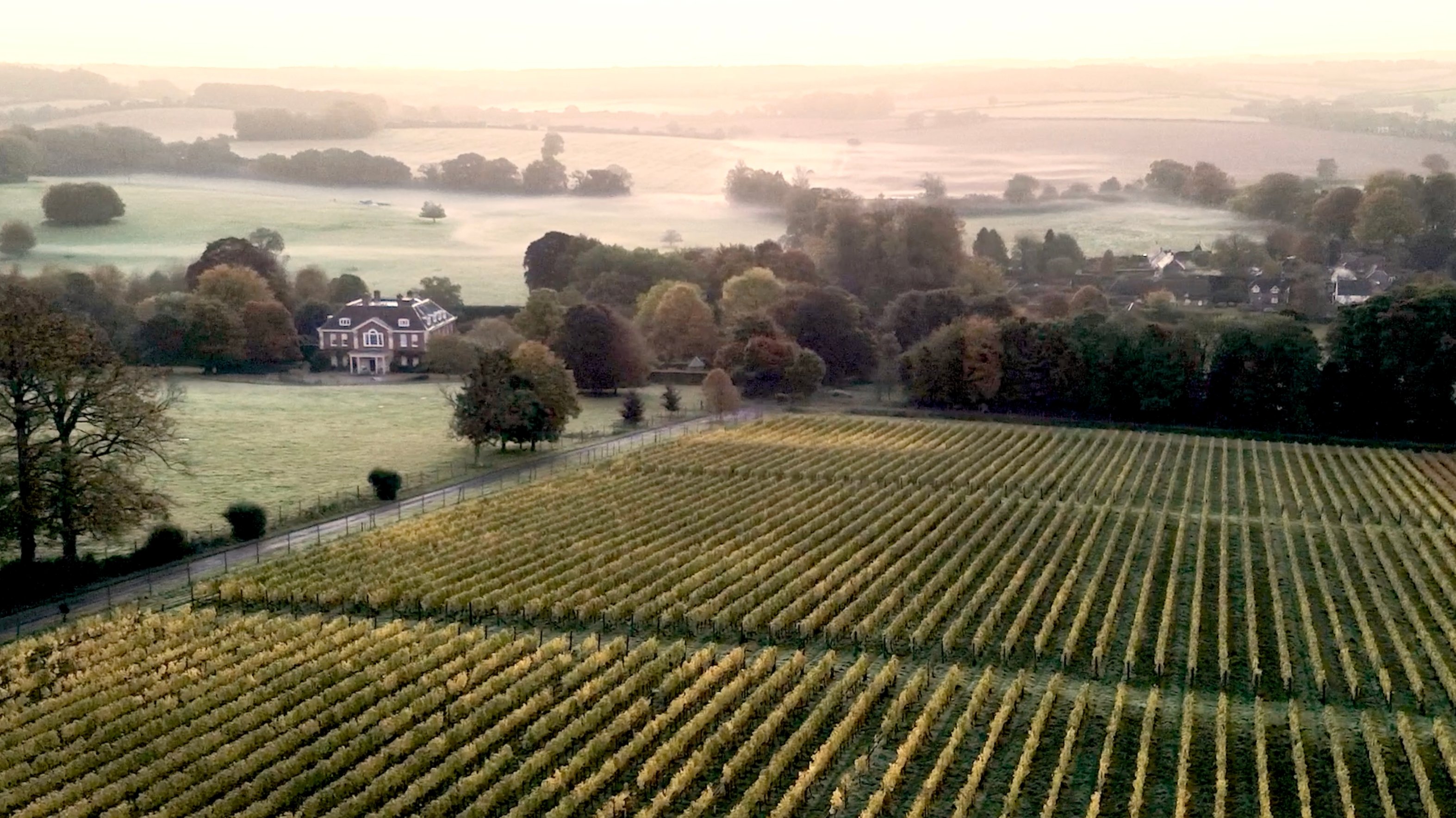 Candover Brook Winery