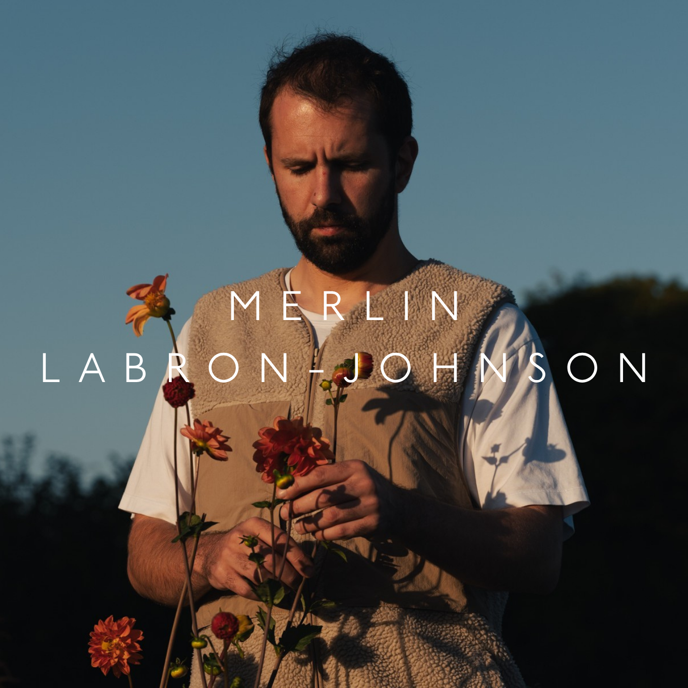 Merlin Labron Johnson Square