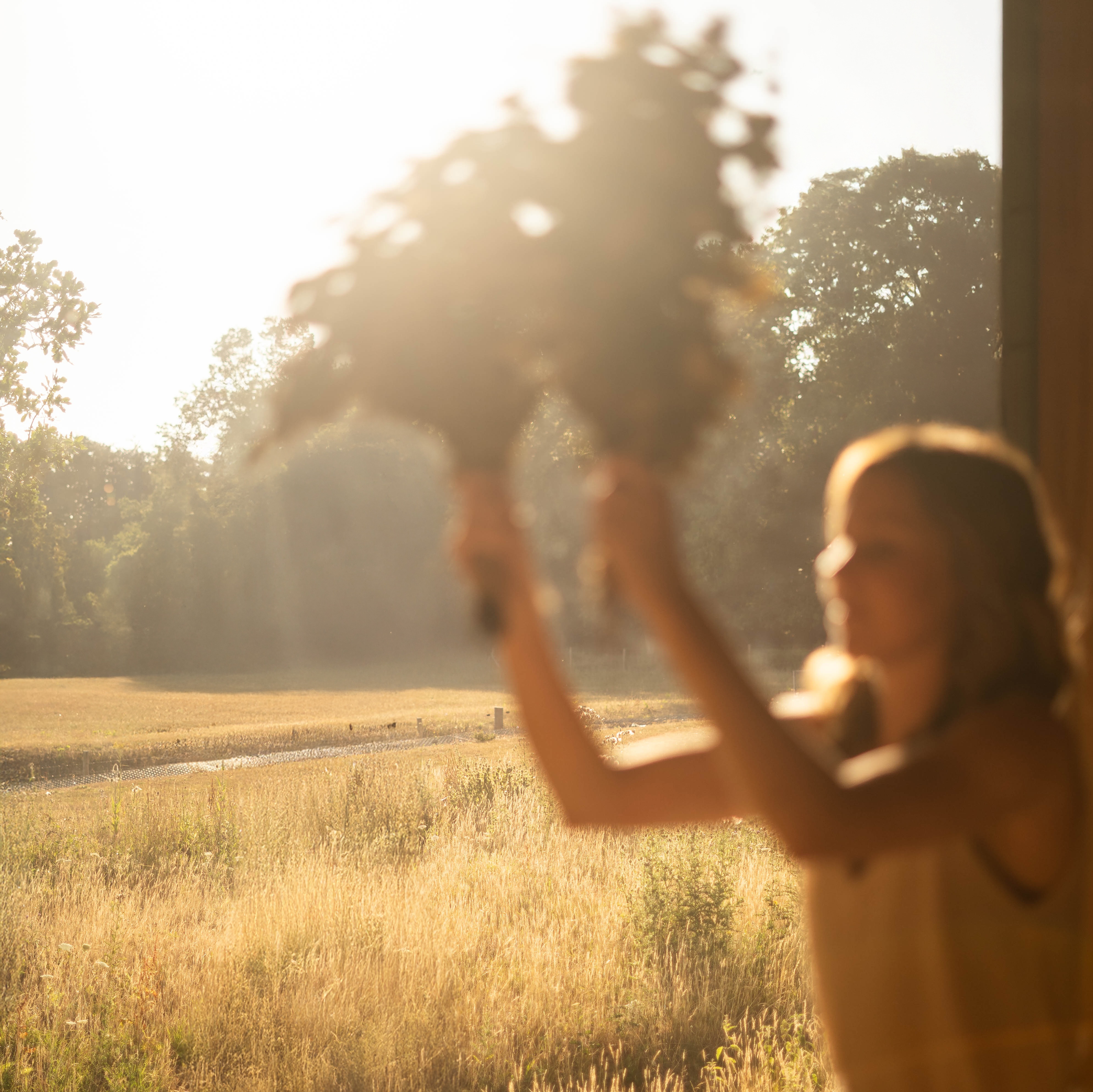 Heckfield Place Sauna Medicine At The Bothy By Wildsmith Skin