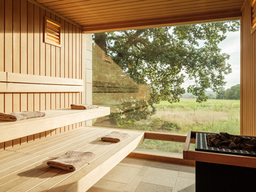 View to the Ancient Oak from the Sauna of the Bothy