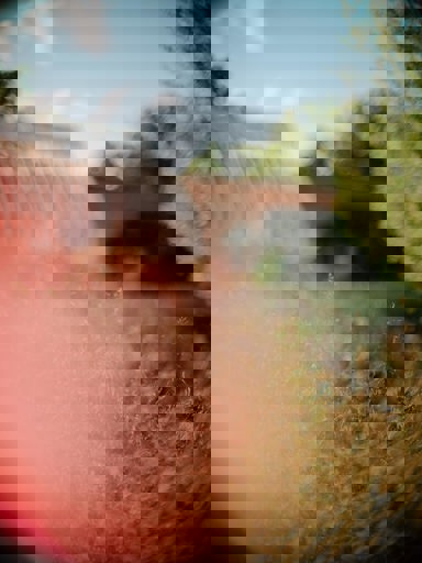 Hptreatment8