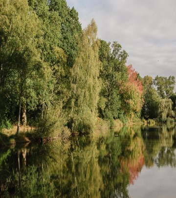 Lower Lake Reflection