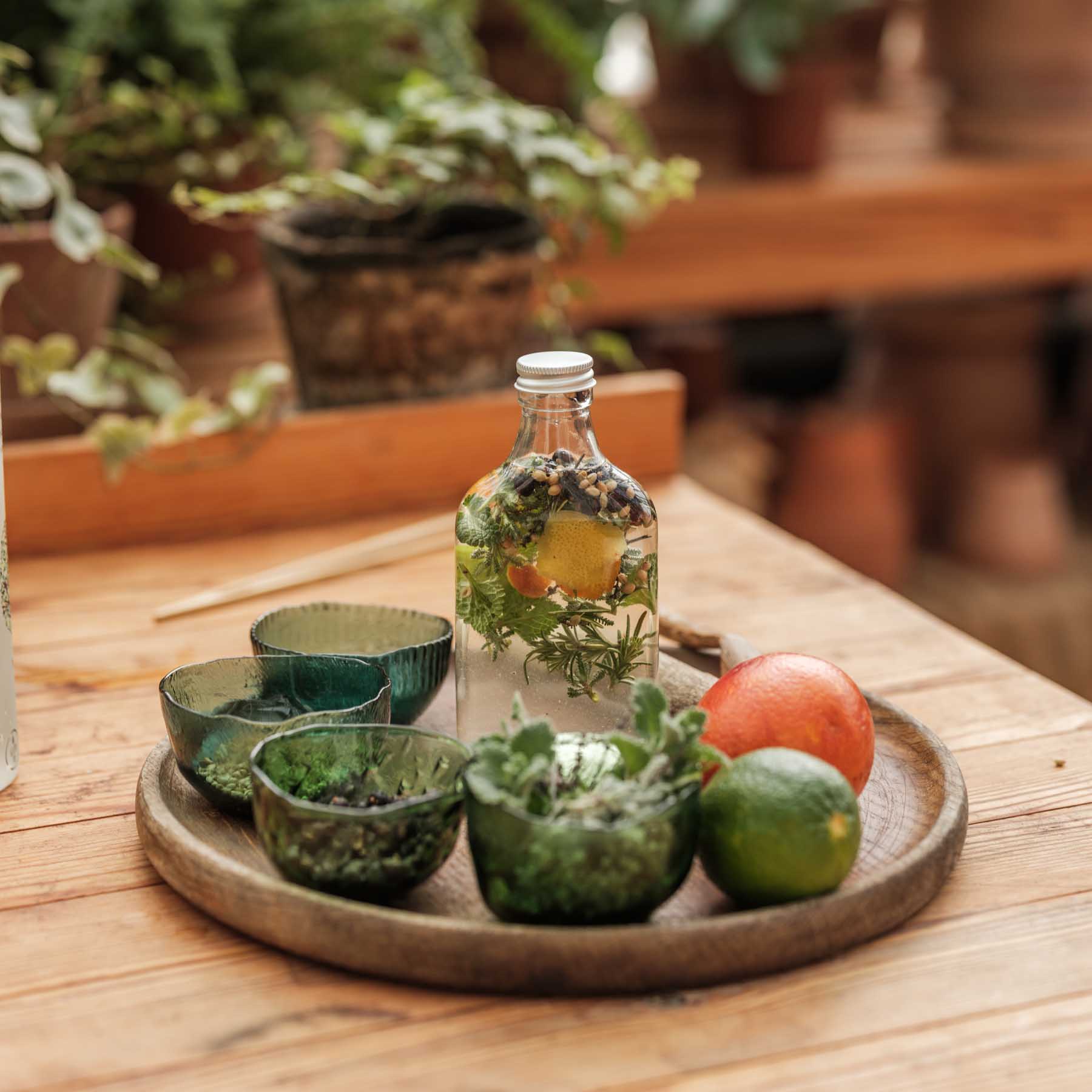 Gingardenexperienceweb