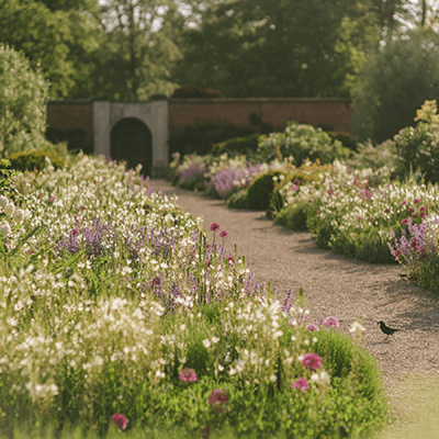 Gardens In Bloom (1)
