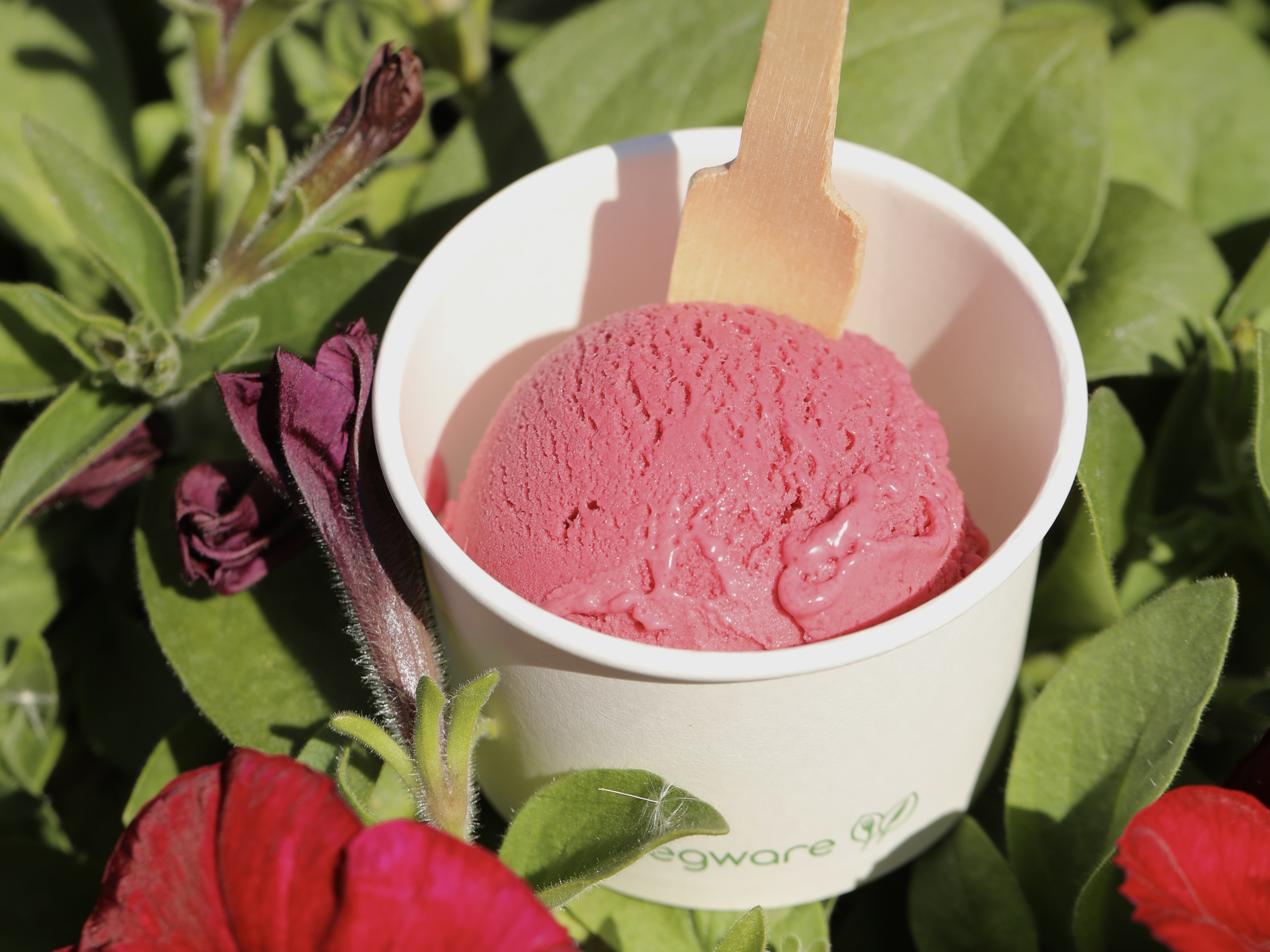 2025 05 17 Ice Cream Tub Small 3
