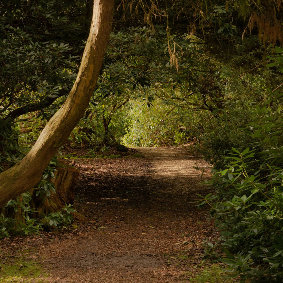 HP Experiences Trails (1)