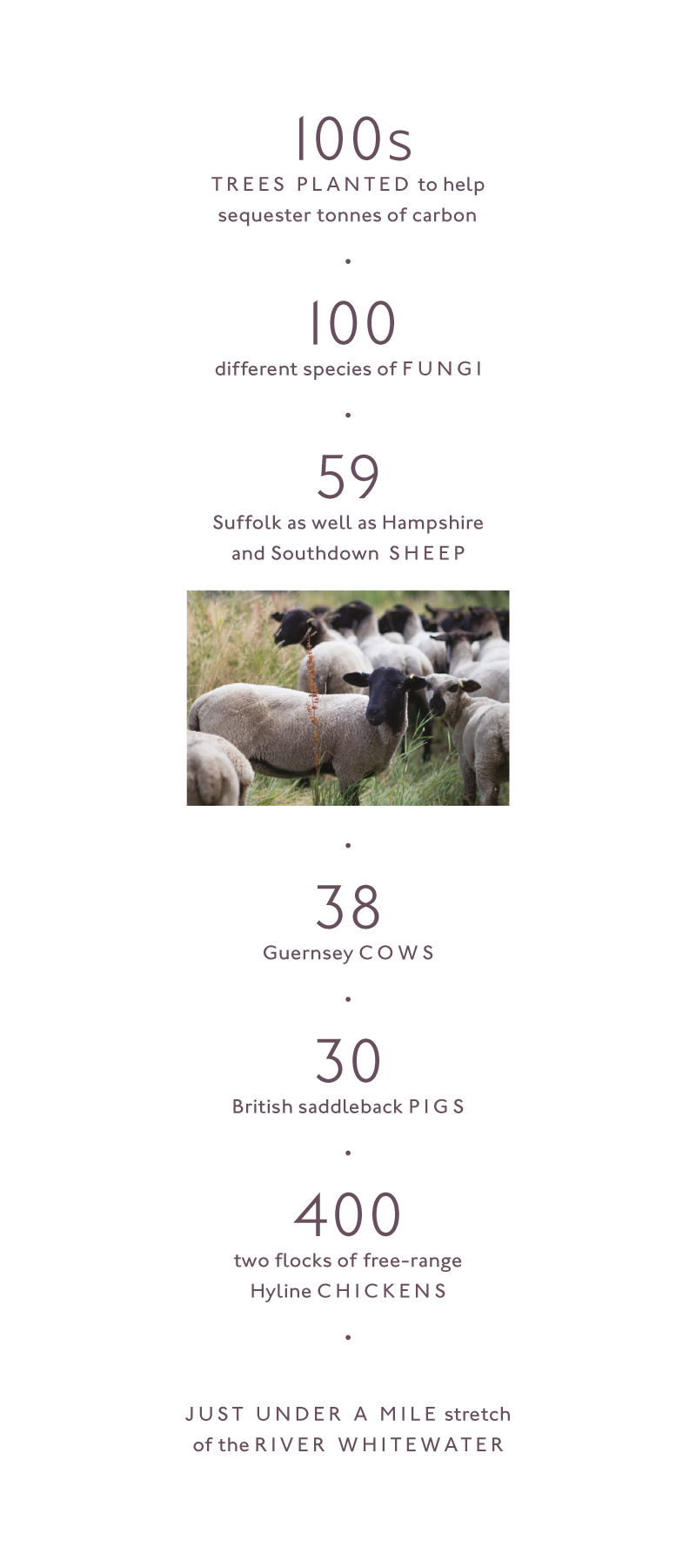 Heckfield In Numbers 1B