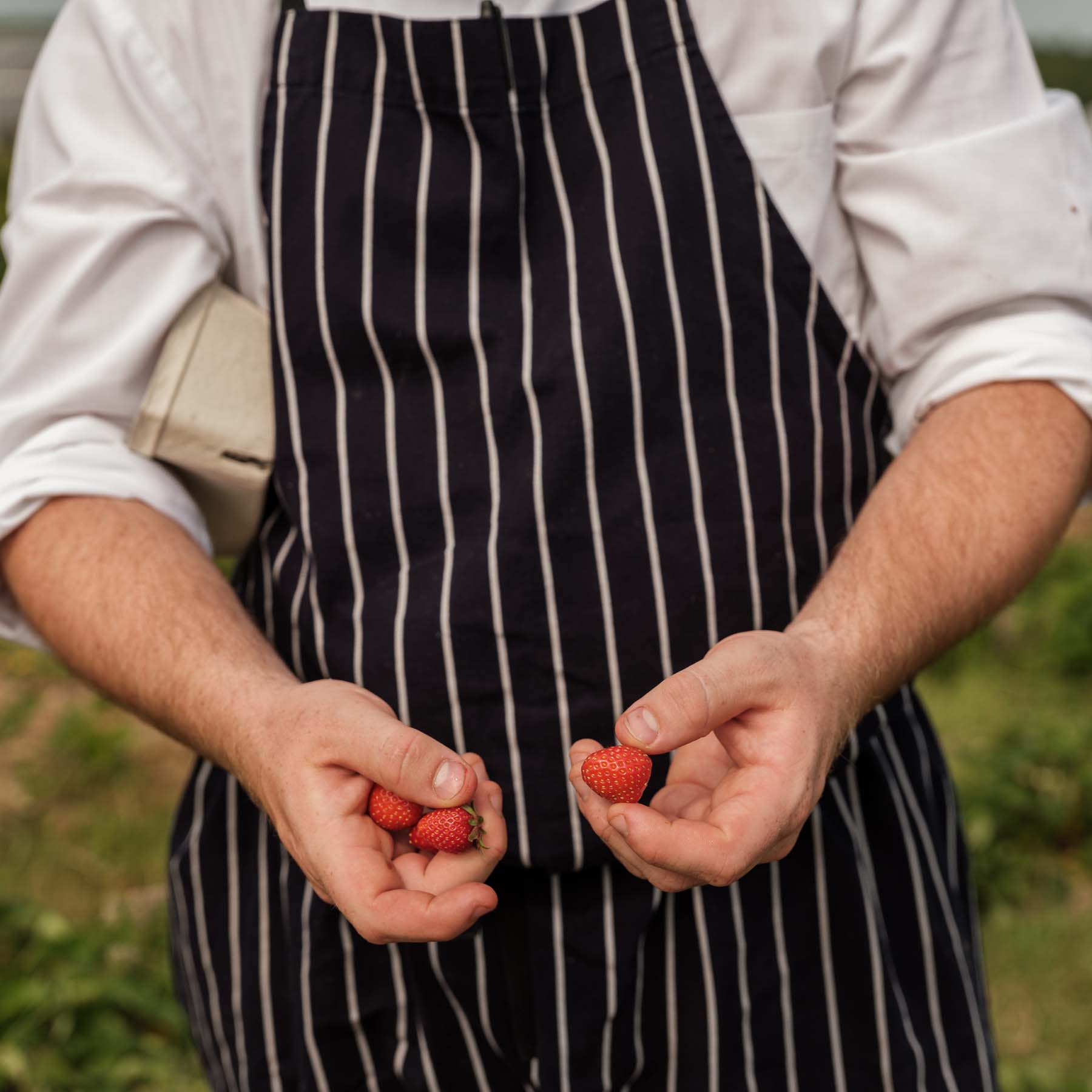 HP Farm To Table 8 (1)