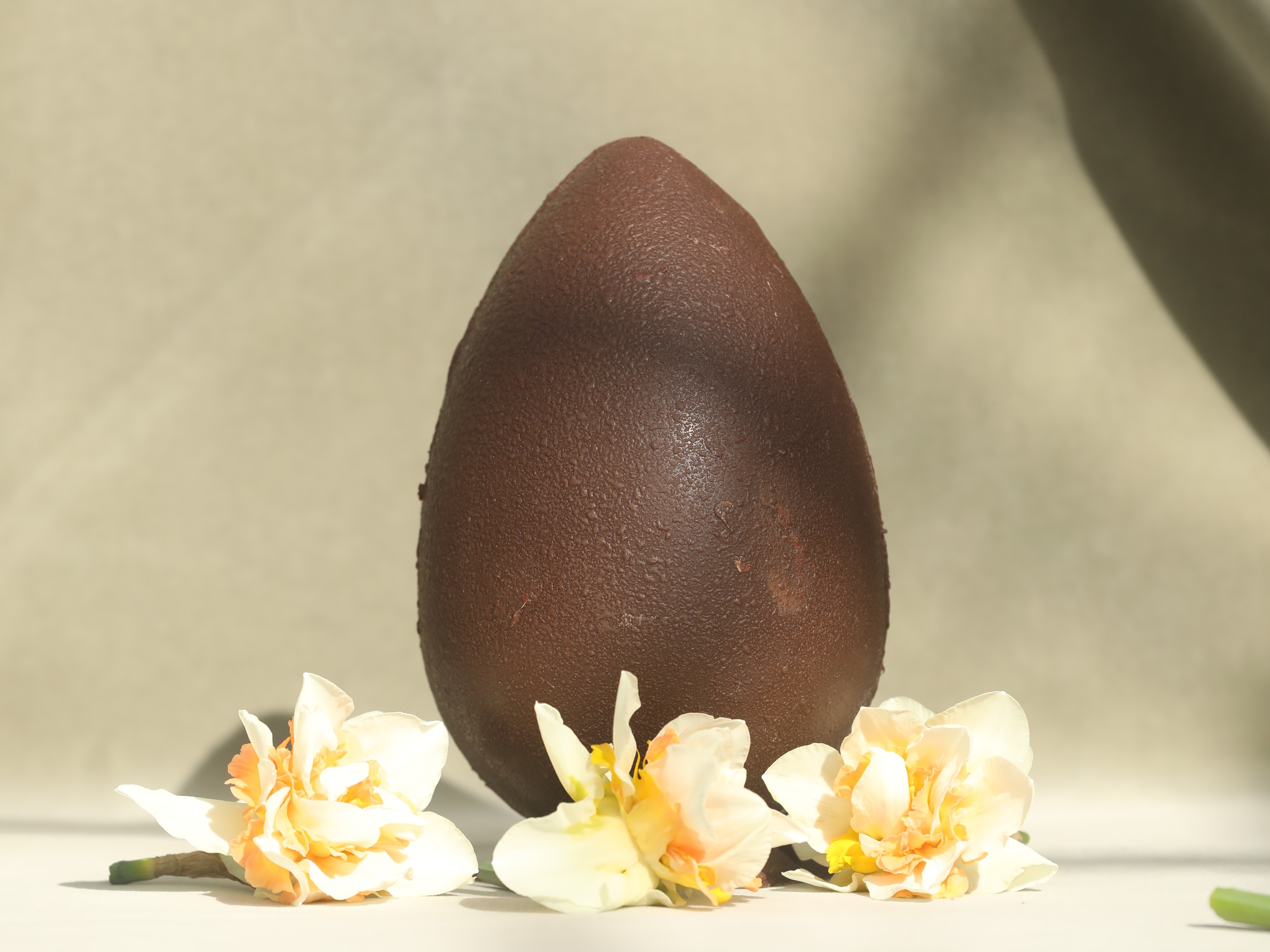 2025 03 28 Chocolate Egg (5)